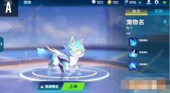 飞车最新爆料宠物,萌宠助力，畅游速度与激情世界